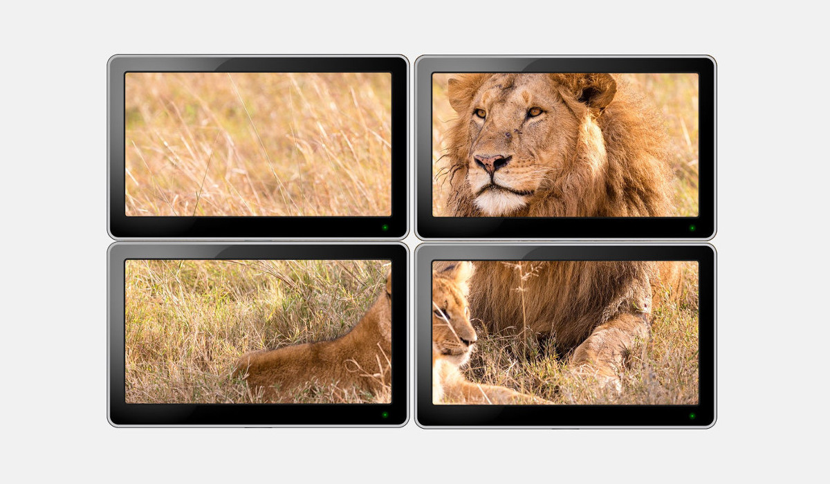 Muro de vídeo de cuadrícula